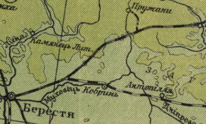 Физическая карта Украины и смежных земель Кубийовича и Кулицкого. (1939)