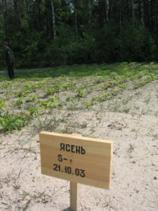 Линовское лесничество
