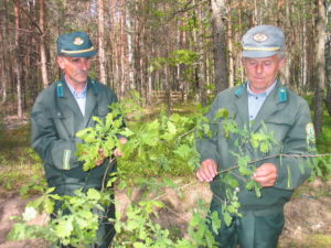Лесники Михаил Федорович Городник и Леонид Дмитриевич Черепенко